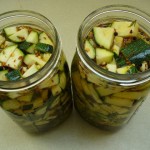 fermenting zucchini