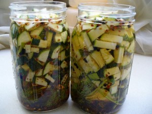 lacto-fermenting zucchini