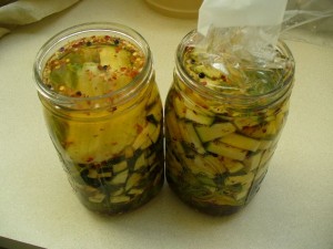 fermenting zucchini